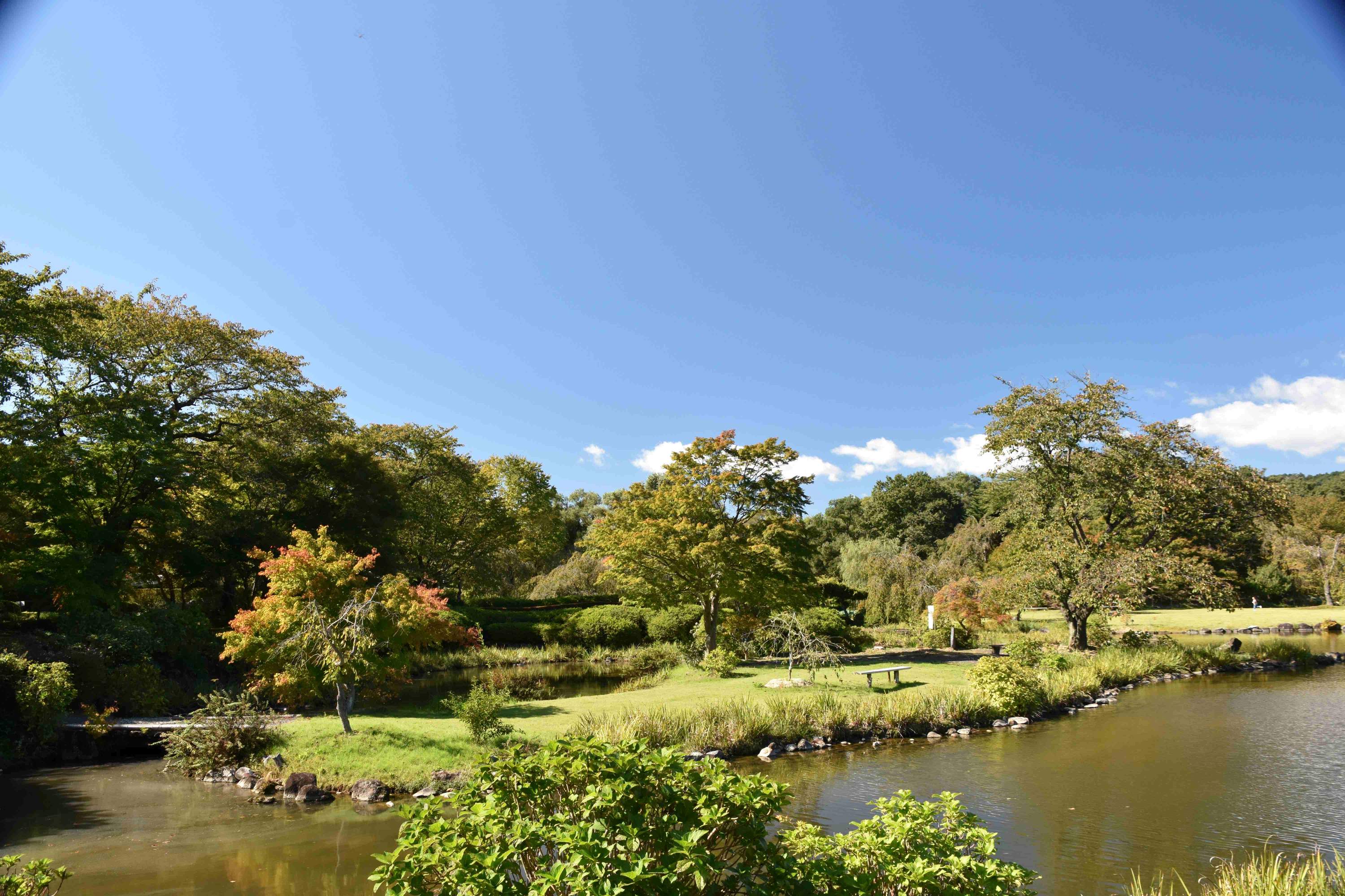 回遊式庭園