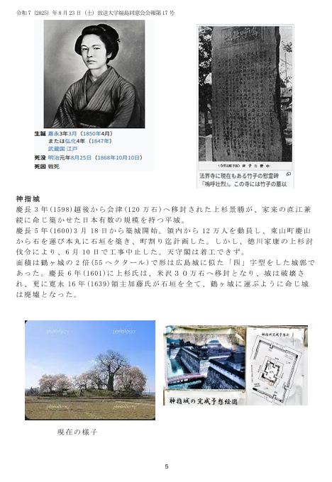 欅17号