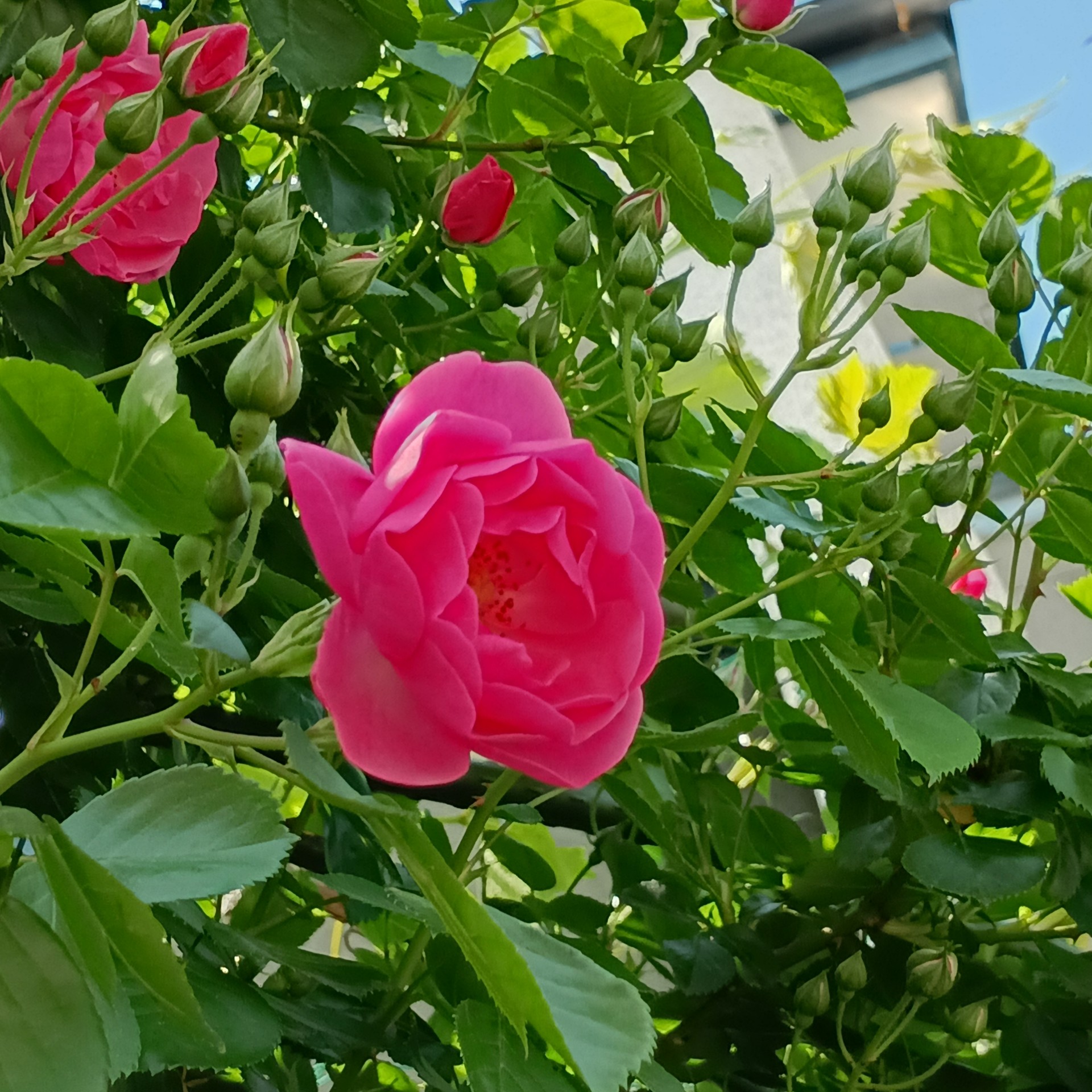 第20回更新